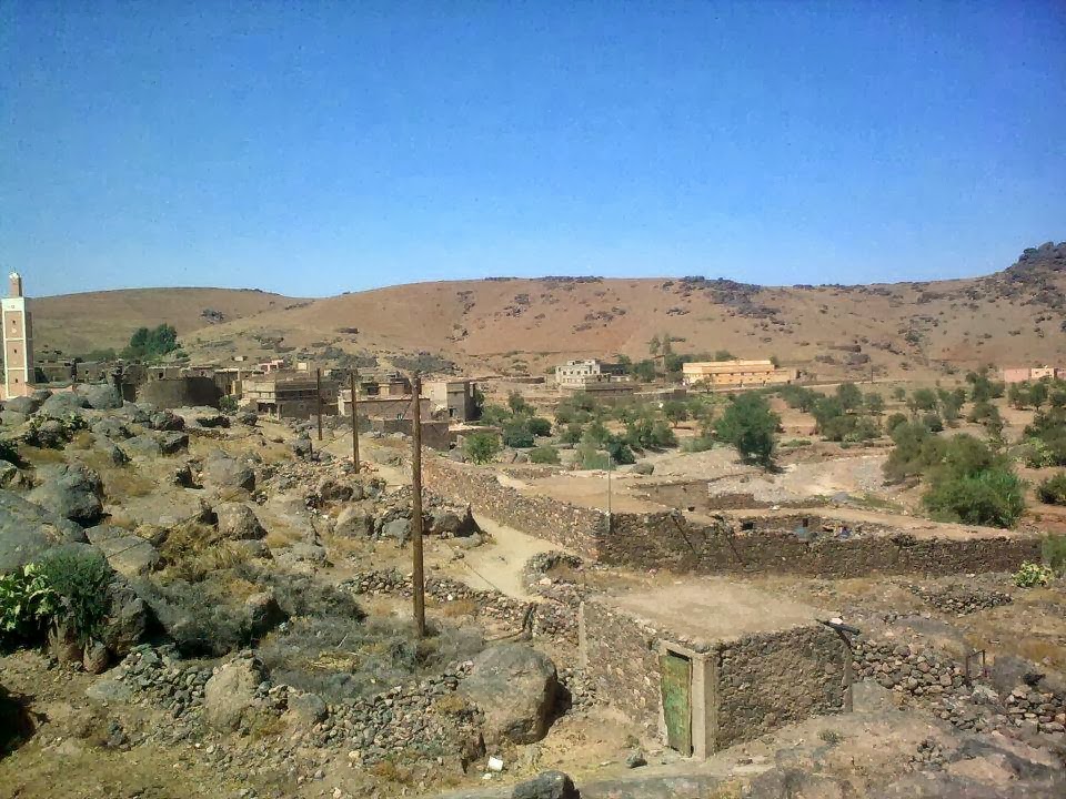 Blog Image